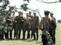     "" (1973) -  81