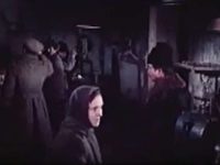      (1976)