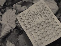   (2020)