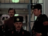  (1982)
