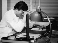  (1962) 

