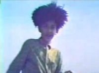   (1985) 
