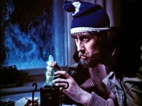    (1981)