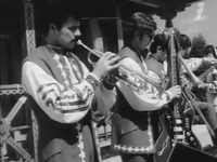   (1971)