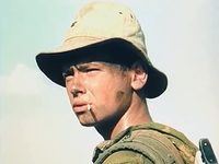   (1991)