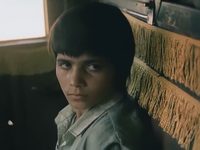   (1991) -  114