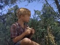  (1956) 
