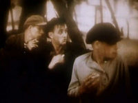   (1993) 
