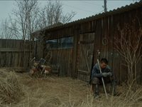  (2021) -  8