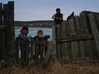  (2021) 
