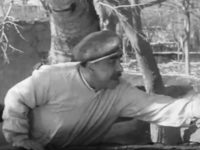    () (1966) 
