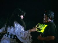    (1981) 
