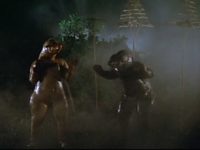    (1981) 

