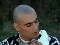 - (1988) 
