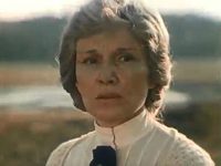     (1981)