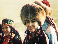     (1981)