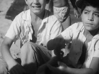 ׸  (1962) -  1