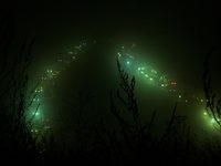  (2022) 
