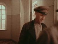   (1987) -  20