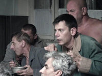 .   (2011)