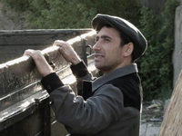 .   (2011)