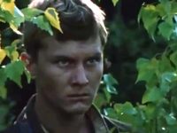    (1985)