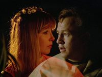    (1981)