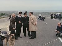   (1976)