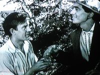    (1961) -  1