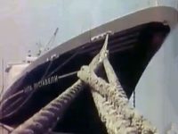  (1973) -  56