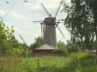    (2017)