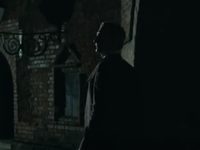    (2017)