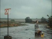    (1973) -  40
