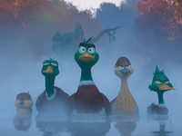  (2023) 
