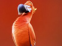  (2023) 
