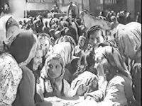   (1948)