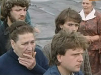    (1984)