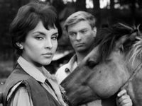  (1962) 
