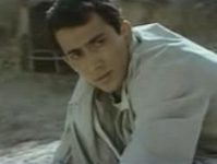 ,  (1987) 
