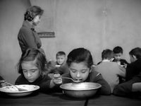    (1961)