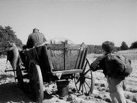    (1961) -  11