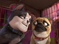   2 (2017) 
