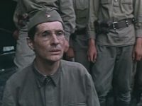     (1982)