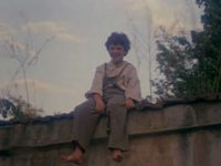   (1991)