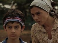 71   (2010)