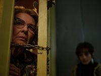  7 (2024)