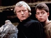 - (1985) 
