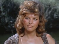  (1971) 
