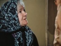    (1977) -  43