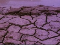 ,  (1984) 
